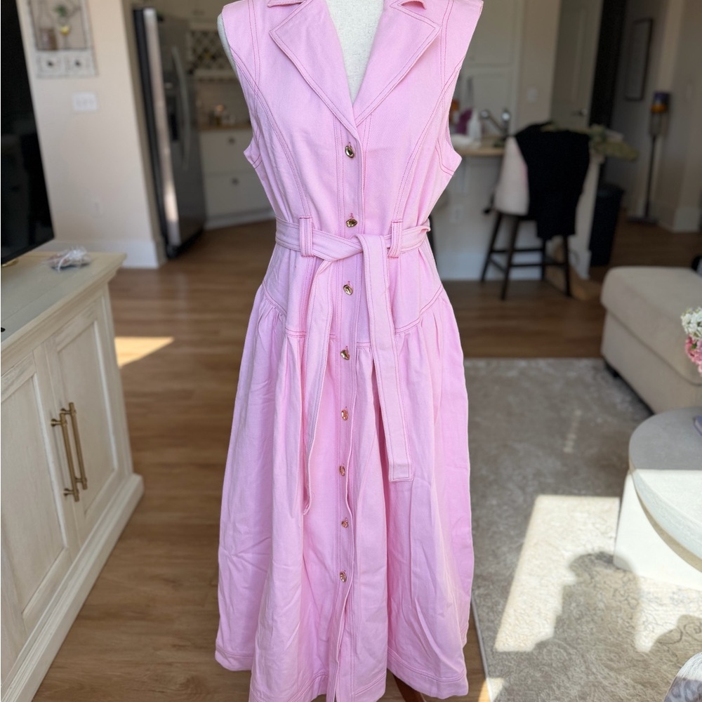 Aleeza Paris Addison Dress - NWT